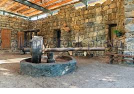 La Meule L Huile D Olive Huile D Olive Presse Squeeze Out Photo Stock Alamy
