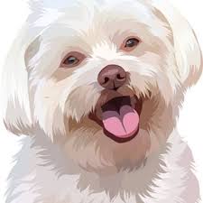 Anda dapat mengunduh vektor anjing gratis dalam format.ai dan.eps. Petvectortagar Di Instagram Foto Dan Video In 2021 Dog Portraits Pets Dogs