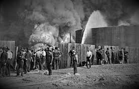 Image result for Elfenbein 1992 Fleet