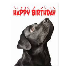 Pin By Racene Patterson On Labs Happy Birthday Black Special Happy Birthday Wishes Happy Birthday Dog