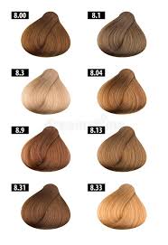 hair dye colours chart colour numbers 3 stock image