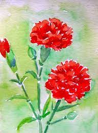 71 Art Wallpapers For Free Wallpapers Com Floral Watercolor Flower Art Red Carnation