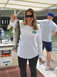 Bluefish Inshore, Bluefins Off