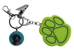 Image result for jezevčík drsnosrstý