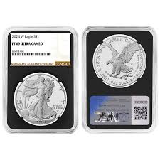 Image result for Iconic Silver 2024 Responder