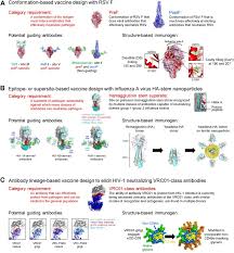 We did not find results for: Antibody Guided Structure Based Vaccines Sciencedirect