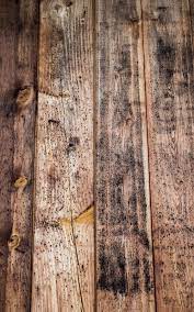 Parquet noirci par l humidité. Enlever La Moisissure Sur Du Bois