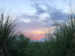 Profile for Pat Stetson Real Estate