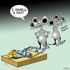 Maybe you would like to learn more about one of these? How To Get Rid Of Dead Rat Smell Myfancyhouse Com