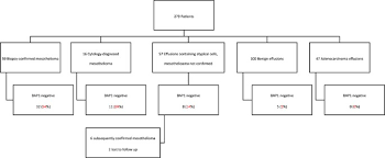 We did not find results for: Loss Of Expression Of Bap1 Is A Useful Adjunct Which Strongly Supports The Diagnosis Of Mesothelioma In Effusion Cytology Modern Pathology