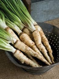 As far as unusual root vegetables go, this one bridges the gap between familiar and exciting—great for picky eaters and cautious gardeners alike. Colorful And Exotic Root Vegetables Hgtv