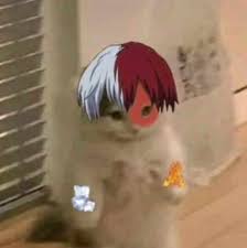 Anime girls have no nose for a reason, and this edit shows exactly why. 340 Cursed Anime Pfp Ideas Anime Anime Funny Funny Anime Pics