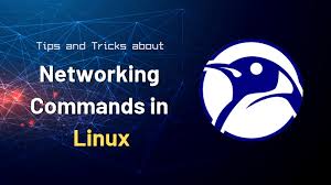 How To Find Default Gateway Ip In Linux