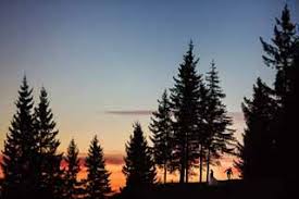 Check spelling or type a new query. Wedding Photographer Reigate Carl Thomson