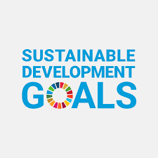 The 3rd year jcim sustainable development award conducted by jci malaysia and in 2019 it will be hosted by junior chamber international elite. Un Sustainable Development Goals Shell Global