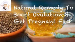If you brew your own coffee at home, this is about five cups. Home Remedy To Get Pregnant Fast Natural Remedy To Boost Ovulation And Get Pregnant Fast Youtube
