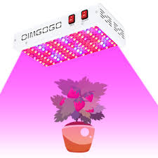 It won't cause a flood in your power bill regardless of whether you abandon it on for a more drawn out timeframe. Amazon Com 1000w Led Grow Light 3x3ft Coverage Upgraded Daisy Chain Full Spectrum Grow Lamps For Greenhouse Hydroponic Indoor Plants Veg And Flower Garden Outdoor