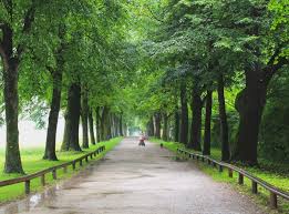 See the best sights from the sound of music walking tour including gazebo pavilion location, dwarf statues, horse fountain, wedding church, do re mi singing spots from the som movie. Best Salzburg Sound Of Music Tour In Salzburg Austria Bel Around The World