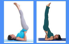Vipareeta Karani Asana Inverted Pose Vazhga Valamudan