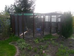 Pin Von Ac Scribbles Auf Aussen Kaninchengehege Aussen Meerschweinchen