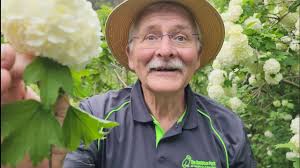 60 Seconds With John — The Sculpture Park at Waitakaruru Arboretum