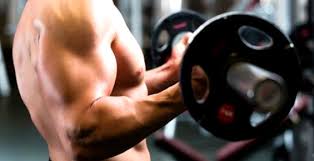 Curl concentré, musculation biceps : Curl Barre Exercice Efficace De Musculation Des Biceps