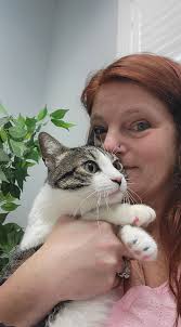 Humorous welcome mat for home with cat theme