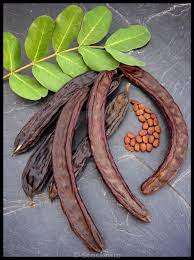 Pin On Superfoods Apu