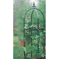 We make heavy duty solid steel plant supports and plant stakes. Plant Supports 5 Best Climbing Plant Support Ideas