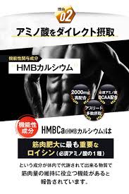 健康食品ファイラ HMB 180粒 - asia-art.ru