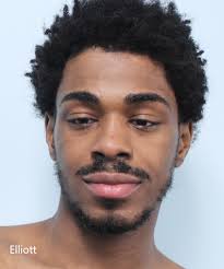 Springfield police seize AR-15-style rifle and handgun in early morning  stop