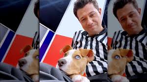 Maybe you would like to learn more about one of these? Puppy Bowl 2021 Everything You Need To Know