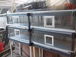 7.1 hay feeder rack food dispenser, guarantees clean and dry hay, alfalfa and other grasses. Diy Quail Pen Plan Using Pre Made Shelving System Ss Prepper