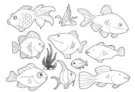 Coloring Pages With Sea Creatures Coloring Pages For Kids Fish Coloring Page Animal Coloring Pages Coloring Pages