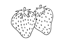 Buah manggis adalah sejenis tanaman hijau yang abadi dari daerah tropis yang diyakini berasal dari semenanjung malaya dan menyebar ke kepulauan nusantara. Gambar Mewarnai Buah Strawberry Untuk Anak Paud Dan Tk