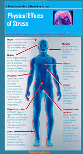 Pin On Nclex Study