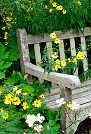 I started a video blog , if you go to my pinterest videos board or screendoorgirl 3 on you tube. Via Pin By Cora On Dream Garden Pinterest Cottage Garden Dream Garden Garden Art