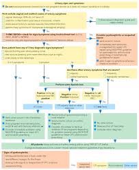 Urine Culture Flow Chart Diagram Nationalphlebotomycollege
