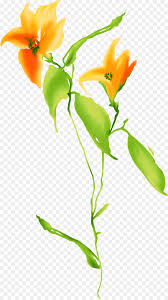 45 flores naranjas png, imágenes prediseñadas de flores de acuarela, ilustraciones de paquetes de flores naranjas, descarga instantánea clipartcreation777 5 de 5 estrellas (268) mx$ 24.18. Flor Cor Laranja Png Transparente Gratis