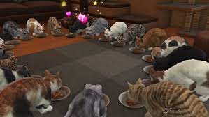 Where To Find Every Stray Cat In Yakuza 6 The Song Of Life