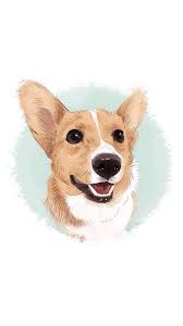 Pin By Ciah Flynn On Doggo Corgi Wallpaper Dog Wallpaper Corgi Wallpaper Iphone
