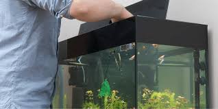 Check spelling or type a new query. 4 Simple Ways To Clean An Acrylic Aquarium Aquarium Sphere