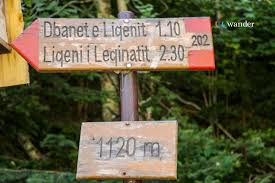 Image result for kosovo i cakorr