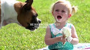 Martinez , she started vet to pet on 2009, as a house call company, serving the miami area with an excellent, convenient and comfortable service for you and yours pets. Vet To Pet Mobile Services Your Veterinarian In Smithers Bc Serving The North