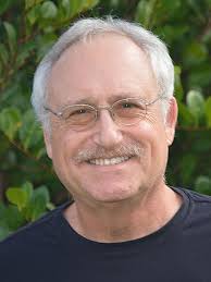 Buy Be Well!: A Guide for Entering and Getting the Most out of Therapy Book  Online at Low Prices in India