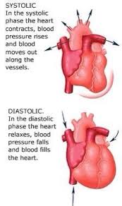 Systolic Vs Diastolic Cardiac Nursing Nursing School Survival Nursing School