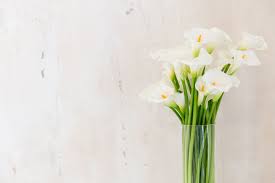 Check spelling or type a new query. Wedding Anniversary Flowers And Their Meanings