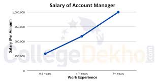 When you are going through various account manager job descriptions during your job search, you'll see various duties and responsibilities listed. Career As Account Manager How To Become Courses Job Profile Salary Scope