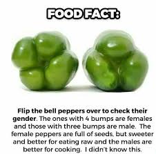 You simply cut off the ends. Fact Check Do Bell Peppers Have Genders Food Facts Food Hacks Eating Raw