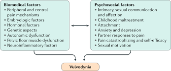 Vulvodynia Nature Reviews Disease Primers